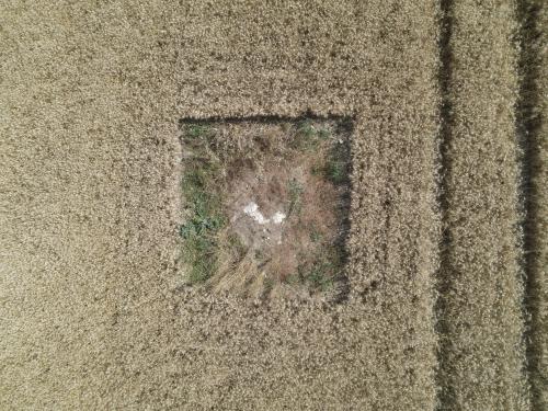 DJI_3589.JPG
